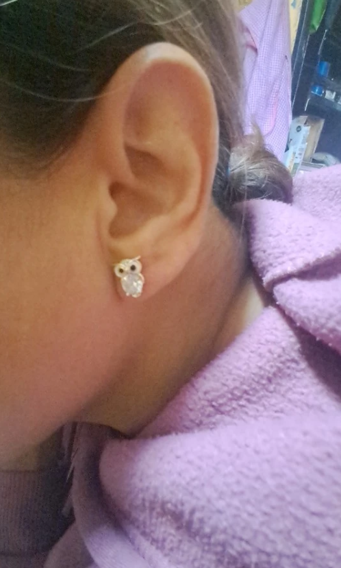 Gold owl stud earrings with sparkling crystals, perfect for jewelry websites, jewelry storage, vintage jewelry, and gifting for mom or jewelry lovers.