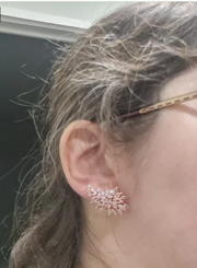 Crystal earrings in a velvet jewelry case, showcasing stunning craftsmanship by jewelry designers, perfect for elegant jewelry storage and earrings piercing styles.