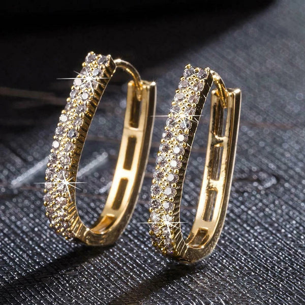 Luxury Full Paved Hoop Earrings