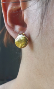 Elegant gold shell earrings for modern jewelry storage and display, designed by top jewelry designers. Ideal for jewelry websites featuring body jewelry, earrings rings, or vintage-inspired collections. Perfect for jewelry case organization, showcasing diamond and jewelry craftsmanship, and suitable for mature women hairstyles. A standout piece for jewelry cleaning and care enthusiasts.