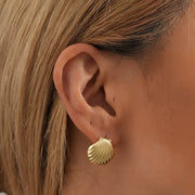 Elegant gold shell earrings for modern jewelry storage and display, designed by top jewelry designers. Ideal for jewelry websites featuring body jewelry, earrings rings, or vintage-inspired collections. Perfect for jewelry case organization, showcasing diamond and jewelry craftsmanship, and suitable for mature women hairstyles. A standout piece for jewelry cleaning and care enthusiasts.