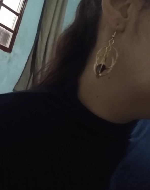 Double hoop earrings with sparkling crystals, perfect for jewelry cleaning, jewelry storage, and featuring on jewelry websites for diamond and jewelry lovers.